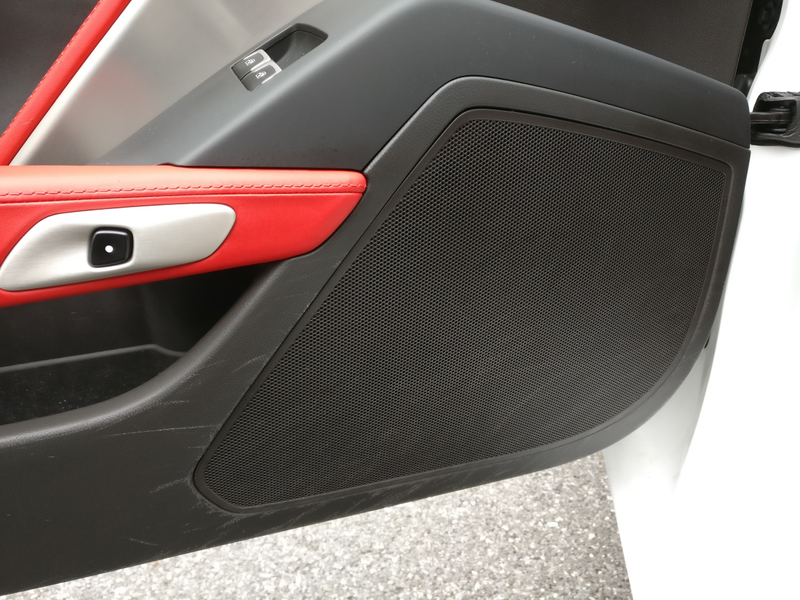 Driver Door Scuffs